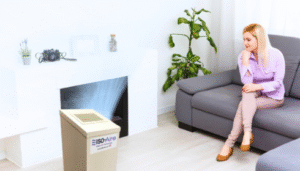 whole house air purifier installation