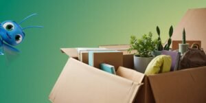 Removals Portsmouth UK